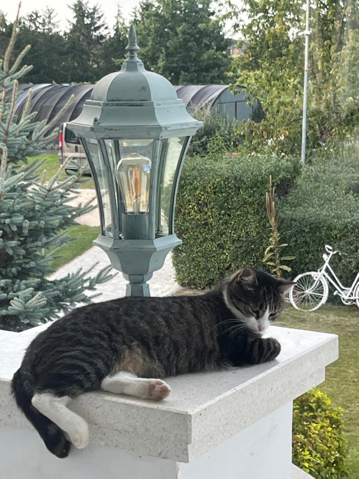 Zielone Zacisze Murzynowo Kościelne Exterior foto