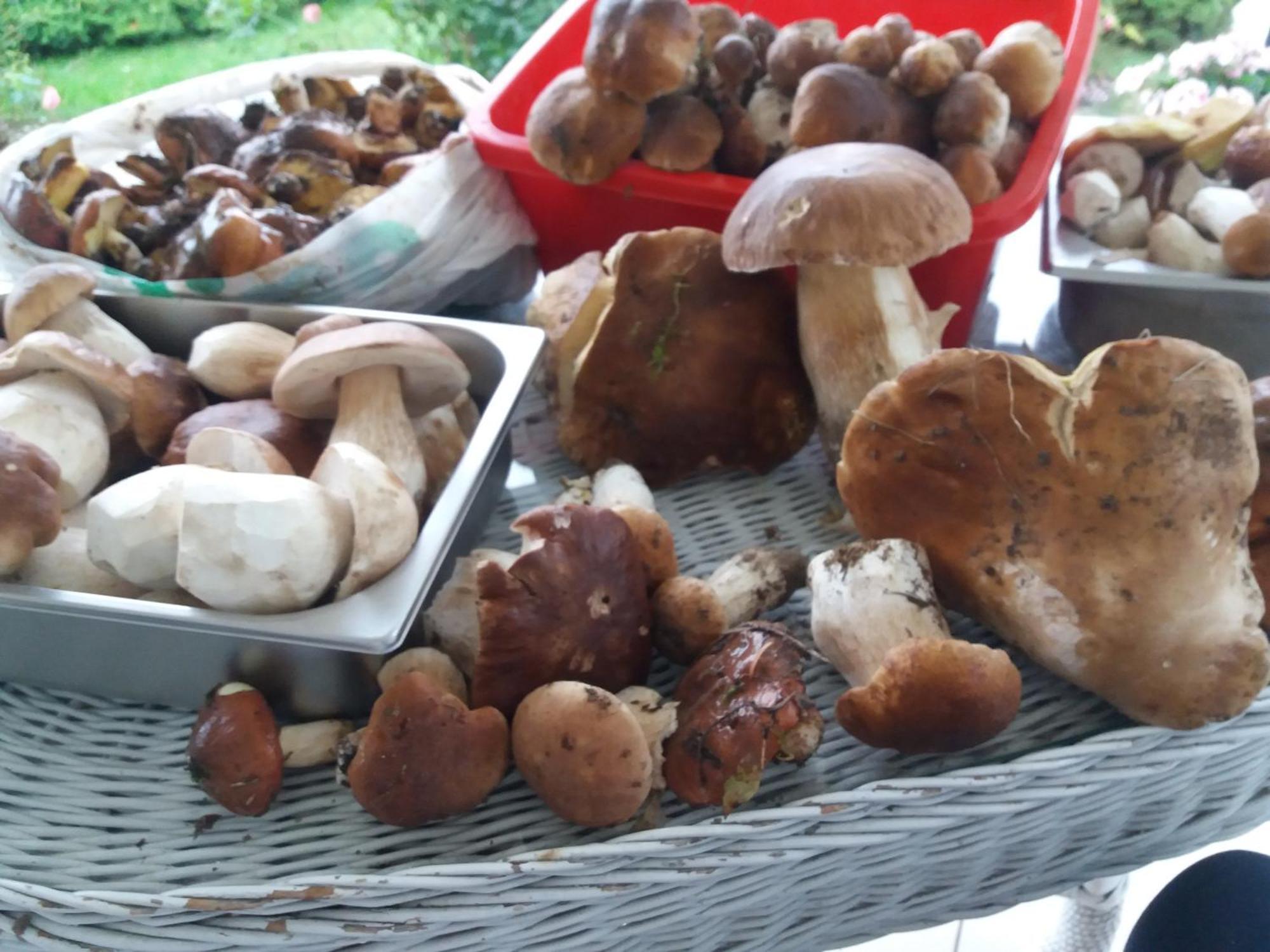 Zielone Zacisze Murzynowo Kościelne Exterior foto
