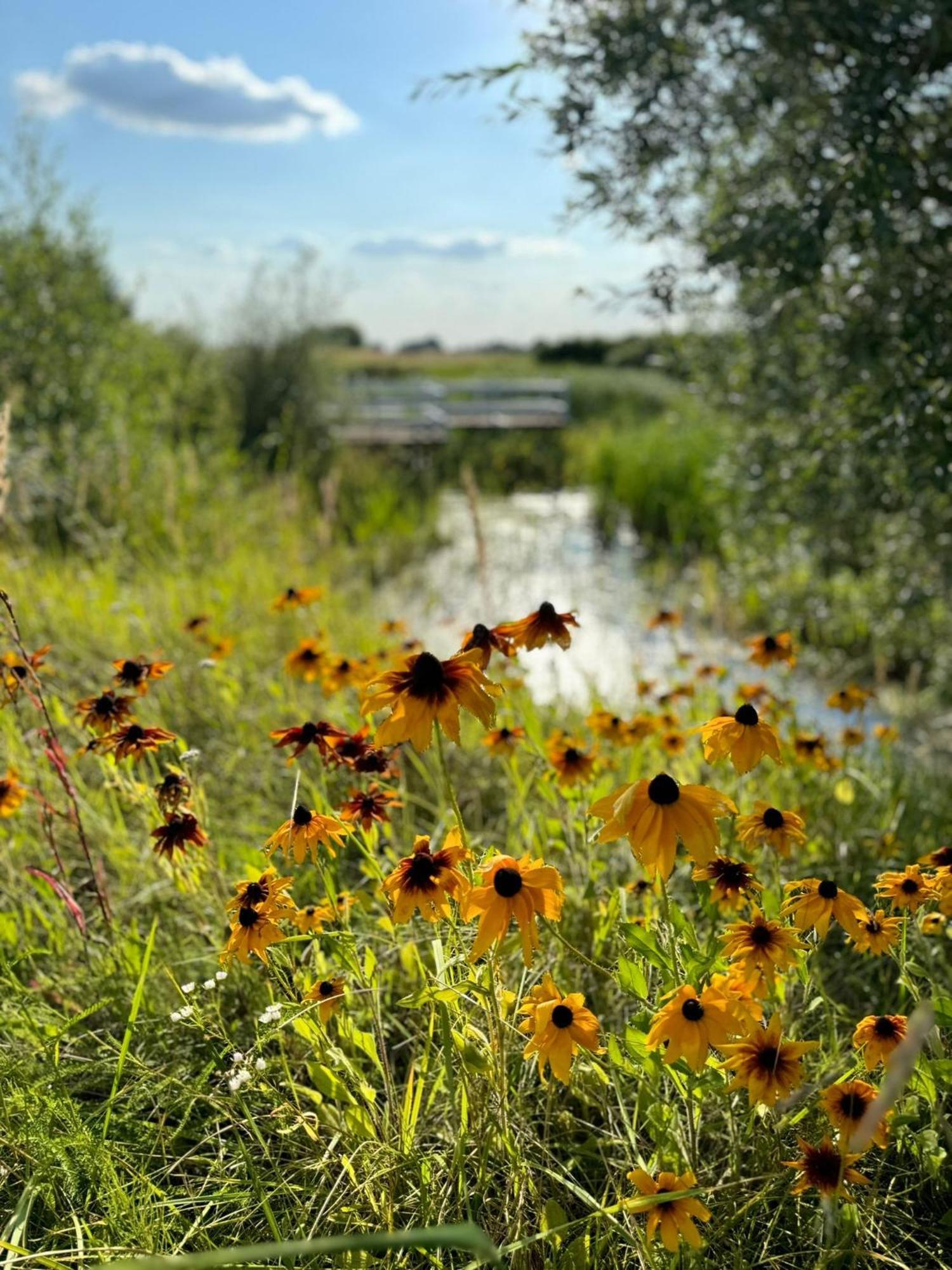 Zielone Zacisze Murzynowo Kościelne Exterior foto