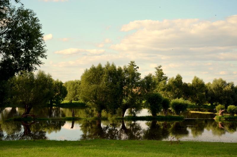 Zielone Zacisze Murzynowo Kościelne Exterior foto